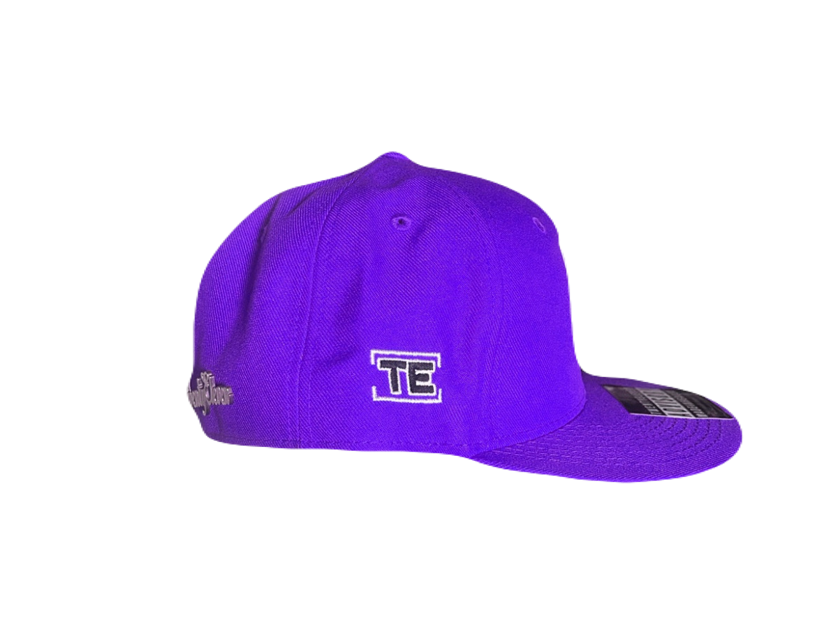 CLASSIC LOGO FITTED HAT (PURPLE)